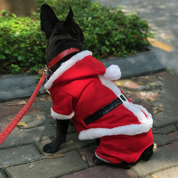 Christmas Clothes for Pets
